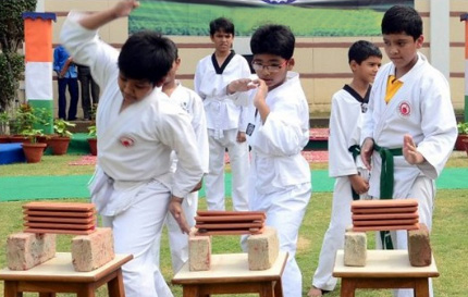 Traditional Martial Arts